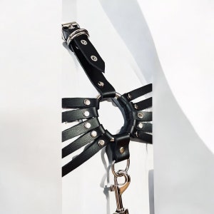 May include: Black leather harness with multiple straps and a silver ring. The harness has silver metal accents and a silver clip.