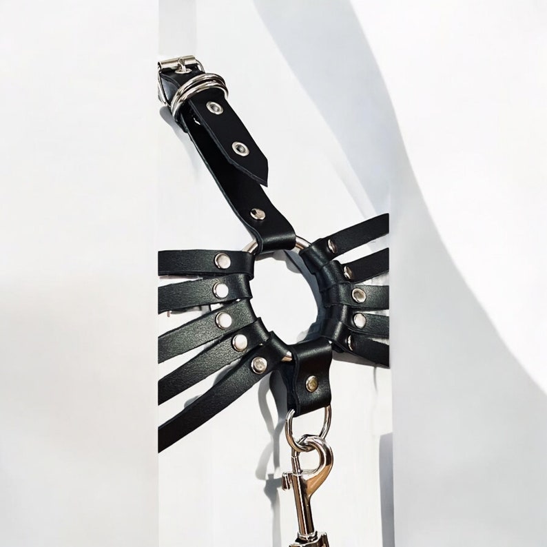 May include: Black leather harness with multiple straps and a silver ring. The harness has silver metal accents and a silver clip.