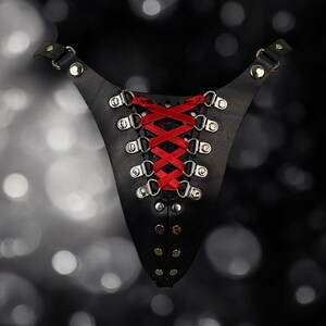 May include: Black leather harness with red ribbon lacing and silver metal accents.