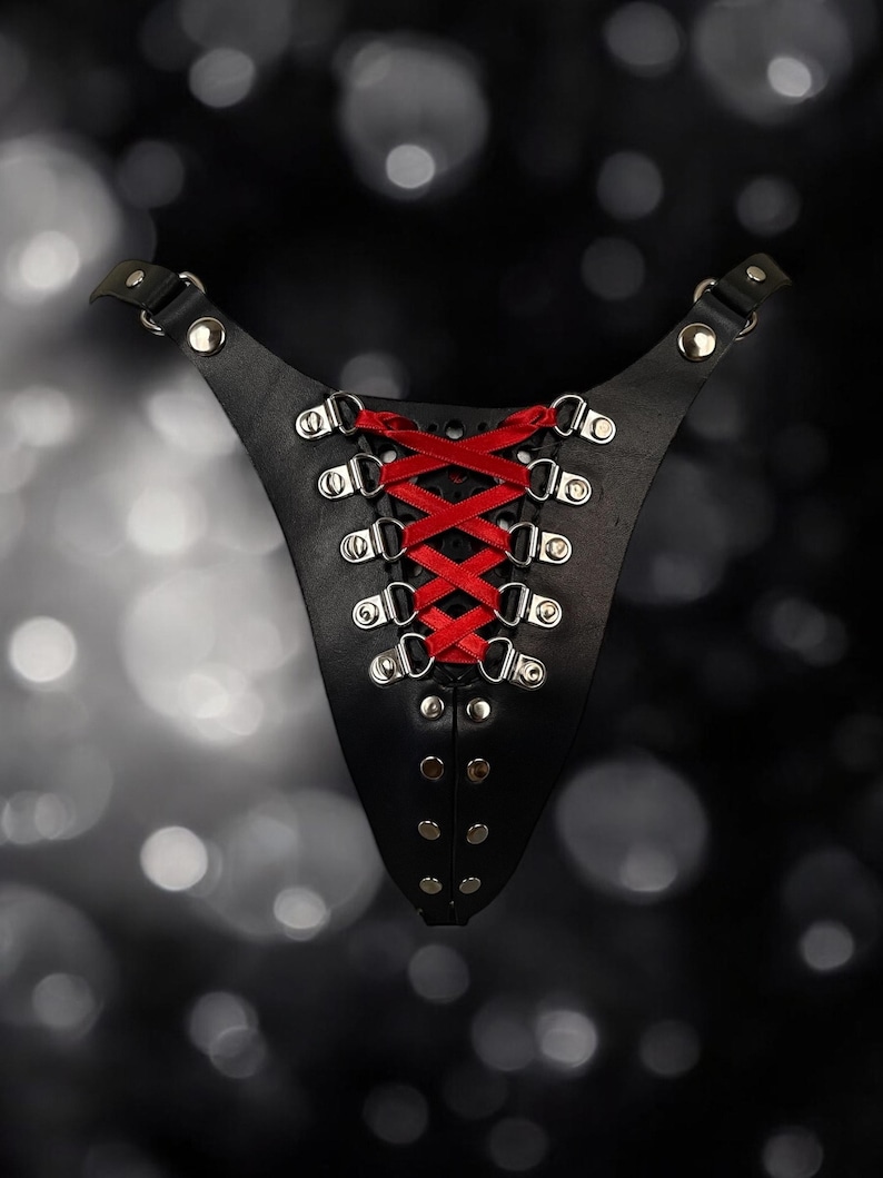 May include: Black leather harness with red ribbon lacing and silver metal accents.