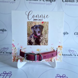 Dog Collar Stand Etsy UK