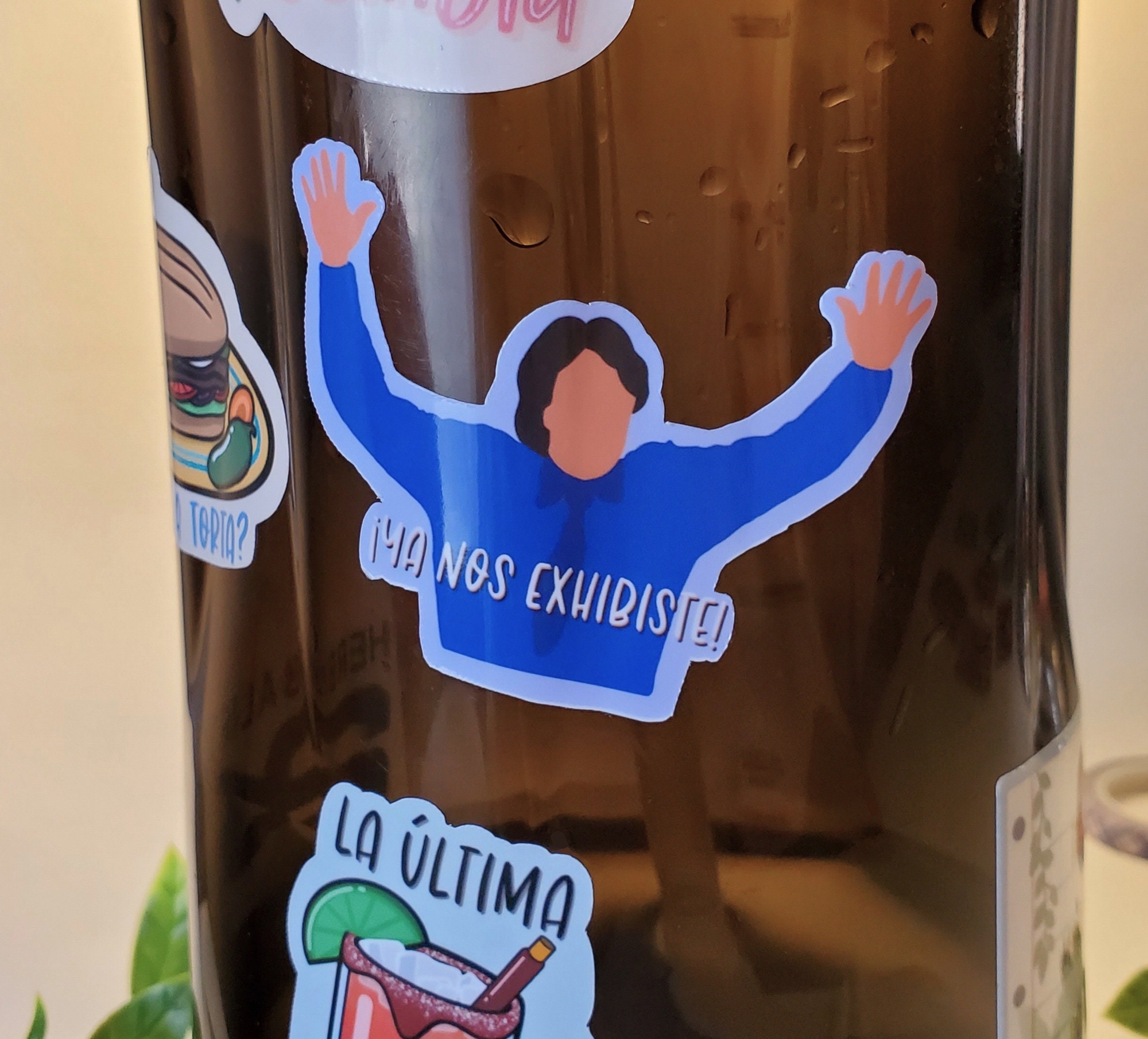 Ya Nos Exhibiste Sticker Familia P.luche Ludovico Meme Etsy