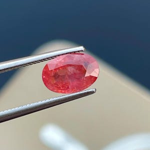 Puede incluir: Una gema roja, facetada y de forma ovalada, es sostenida por unas pinzas plateadas. La gema tiene un aspecto vibrante y translúcido, con patrones e inclusiones internas visibles. El fondo es un degradado borroso de azul y beige.