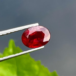 Könnte beinhalten: Ein leuchtend roter ovaler Edelstein, gehalten von einer Pinzette, mit einer glatten, polierten Oberfläche.