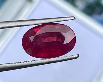 May include: A deep red, oval-shaped ruby gemstone, held by tweezers. The ruby exhibits a rich colour with internal light reflections. The gemstone is set against a soft, blurred background, highlighting its clarity and brilliance. A close-up view of a precious stone.
