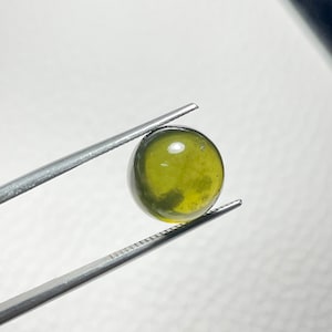 Peridot Cabochon Rund. Erstaunliche Peridot Cabochon.AAA PERIDOT CABS, natürliche Peridot Runde.Peridot Cabs. • 7.50Cts • 10mm •