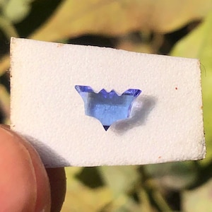 以下が含まれることがあります： 小さな青い宝石のような王冠型のオブジェクトが、白いテクスチャ加工された紙にセットされています。オブジェクトは、ぼやけた緑と黄色の背景に対して、指の間に保持されています。王冠の形は、尖った上部とV字型のベースを持っています。