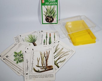 Cards Quartet Prehistoric Plants