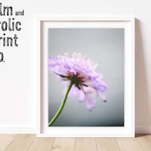 DIGITAL DOWNLOAD Macro Flower Photography Art Print, Flower Wall Decor, Minimalist Art Print, Macro Photography, Wall Art, Instant Download