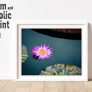 DIGITAL DOWNLOAD Macro Flower and Lily Pad Photography Art Print | Macro Wall Decor, Macro Photography, Wall Art, Printable Art