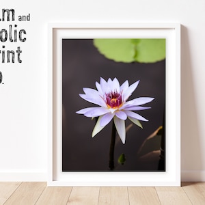 DIGITAL DOWNLOAD Macro Flower Photography Art Print | Macro Wall Decor, Macro Photography, Wall Art, Printable Art, Instant Download
