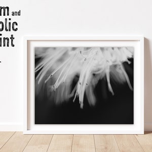 DIGITAL DOWNLOAD Flower Photography Art Print | Nature and Macro Photography, Rustic Farmhouse Decor, Minimalist Wall Art, Instant Download