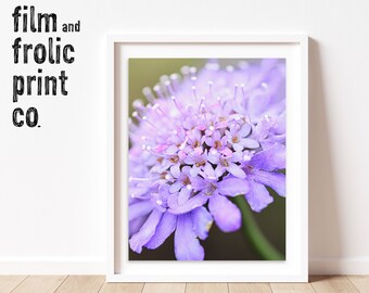 DIGITAL DOWNLOAD Macro Flower Photography Art Print, Flower Wall Decor, Macro Photography, Wall Art, Instant Download