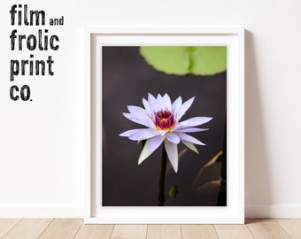 DIGITAL DOWNLOAD Macro Flower Photography Art Print | Macro Wall Decor, Macro Photography, Wall Art, Printable Art, Instant Download