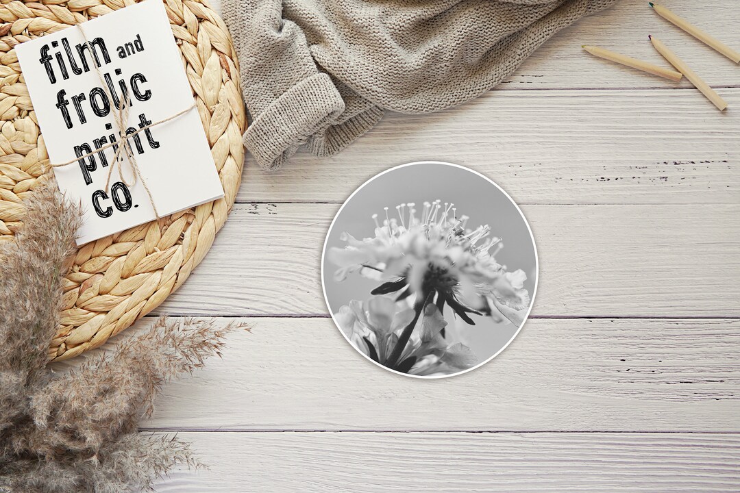 Black and White Flower Sticker | 2x2 In. - Etsy