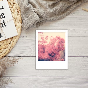 Polaroid Sticker | 2x2.5 in.