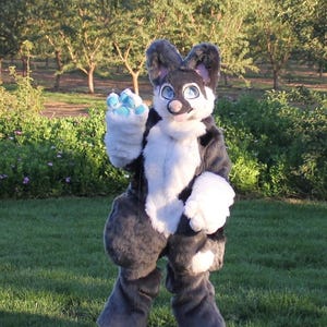 Pigeon- Canine FullSuit