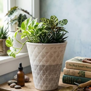Op de afbeelding: Een grote, crèmekleurige plantenbak met een ruitpatroon bevat verschillende groene planten. De plantenbak staat op een houten oppervlak met een kleine fles, stenen en tuingereedschap. Boeken over planten zijn in de buurt opgestapeld.