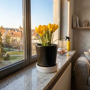 Set di vasi per piante in ceramica fatti a mano “Duo Elegance” – Bianco e nero – Vaso minimalista con fori di drenaggio e sottovaso