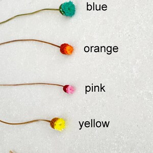 May include: Dried flowers in various colors, including purple, blue, orange, pink, yellow, and white. The flowers are arranged in a row on a white background.