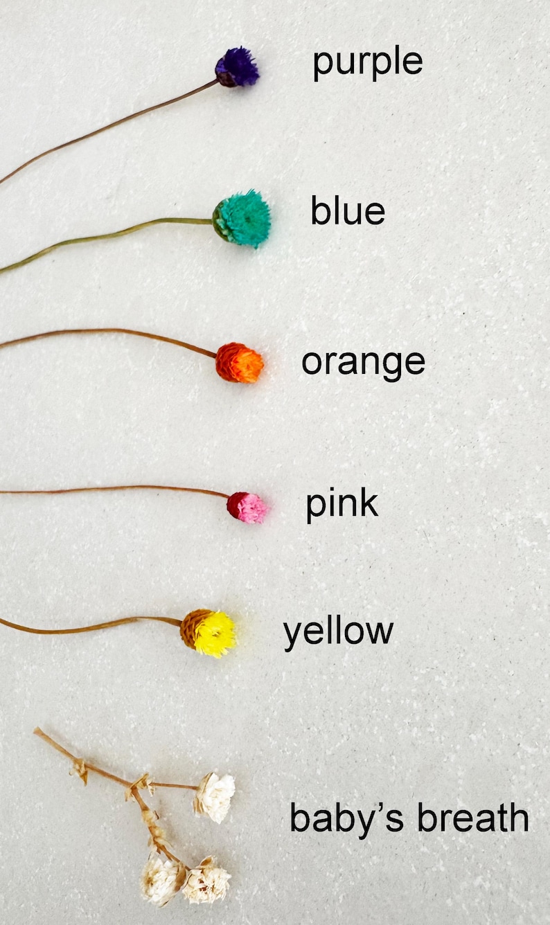 May include: Dried flowers in various colors, including purple, blue, orange, pink, yellow, and white. The flowers are arranged in a row on a white background.