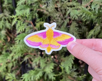 rosy maple moth die cut sticker