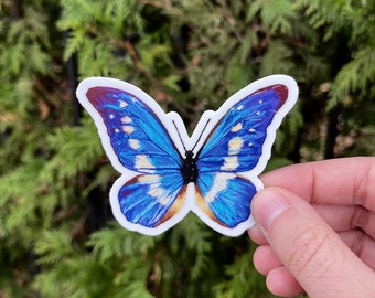 blue morpho butterfly die cut sticker