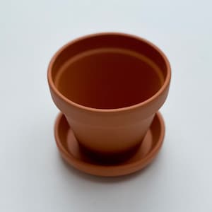 May include: A terracotta flower pot with a matching saucer. The pot is empty and ready for planting.