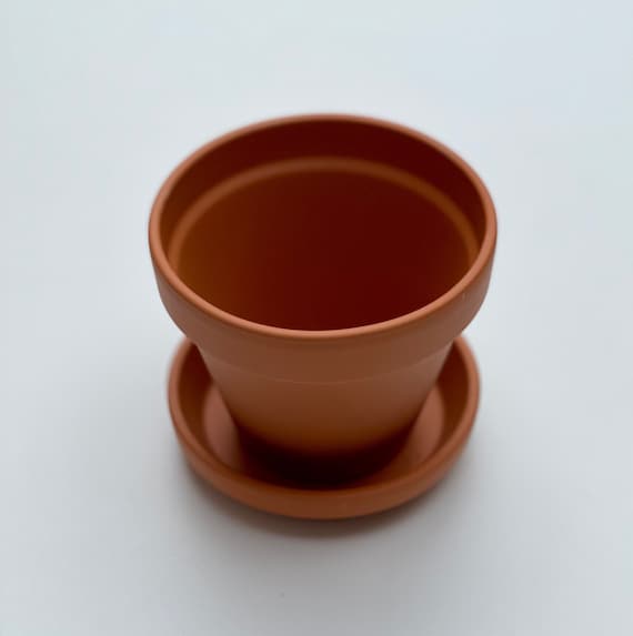 little succulent pots Small Succulent Pots in Bulk