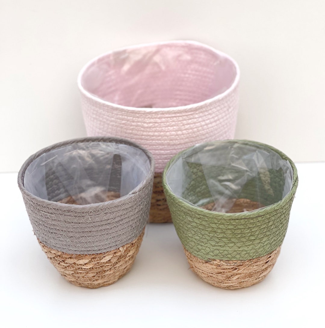 Two Tone Seagrass Plant basket with w...