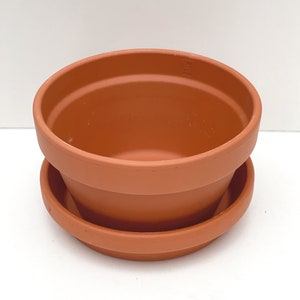May include: A terracotta flower pot with a matching saucer. The pot is empty and ready for planting.