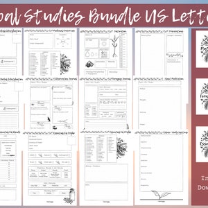 Blank Herbal Studies BUNDLE US Letter | Materia Medica | Foraging | Essential Oils | Instant Download | Herbal Printable |