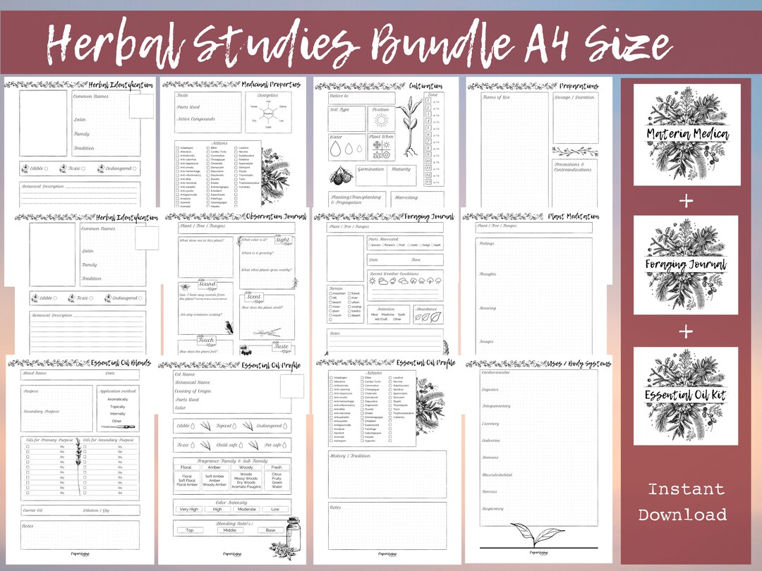 Blank Herbal Studies BUNDLE A4 Size | Materia Medica | Foraging ...