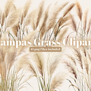 Pampas Grass clipart, Watercolor, Floral, Dried Grass and Palm Leaves, transparent PNG , Boho elements, Bohemian Wedding, commercial use