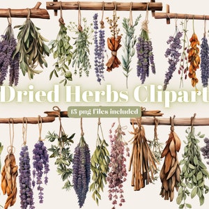 Clipart d’herbes séchées à l’aquarelle, 15 fichiers JPEG et PNG de haute qualité, clipart de cuisine, clipart cottagecore, herbes culinaires, clipart cottage
