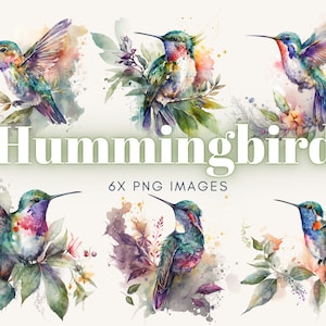 Kolibri Aquarell Clipart, Kolibri Aquarell, Kolibri PNG, druckbarer digitaler Download, Sublimation, Kolibri Clipart