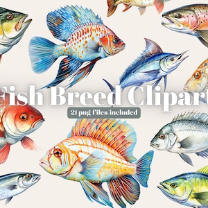 Fish Clipart, Fishing Clipart, Nautical Clipart, Fish Digital Download, Vintage Nautical Fish Illustration Ocean Clipart PNG, Fish Png