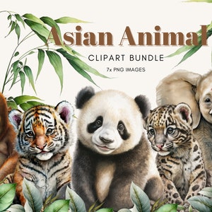Baby Asian Animal Clipart Bundle - Watercolor Panda, Tiger, Orangutan - High Quality Png Jungle Animals for Sublimation Designs and prints