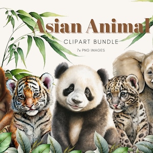 Baby Asian Animal Clipart Bundle - Watercolor Panda, Tiger, Orangutan - High Quality Png Jungle Animals for Sublimation Designs and prints