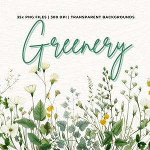 Green Leaf PNG, Greenery Watercolor Clipart, Greenery Bundle Clipart,Botanical Clipart,Watercolor Clipart,Wedding Clipart,Foliage Clipart