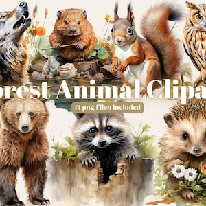 Woodland Animals Clipart Watercolor, Clipart for commercial use, Transparent PNGs, Nursery Clipart, Fox, Bear, Deer, Hedgehog