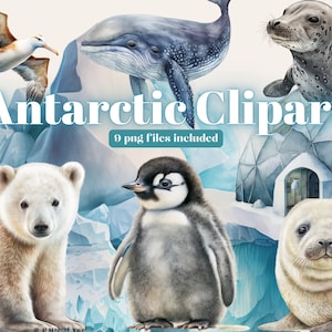 Clipart de acuarela de animales del Ártico, ilustraciones de acuarela de animales de invierno, lindo oso polar, pingüino, reno, diseños de arte de clip de orca