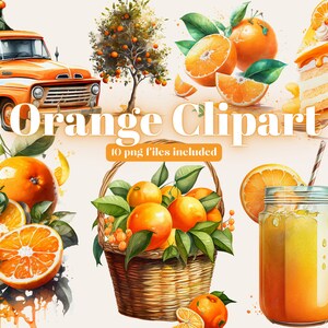 Watercolor Orange Clipart, citrus fruit clip art, flowers Oranges, Branches Blossom summer, Invitation Wedding, Scrapbook PNG