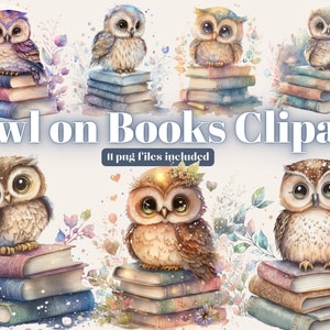 Eule auf Bücher Aquarell Clipart, magische mystische Kunst, Fantasy Clipart, weiße Eule Bundle PNG, magische Clipart, Instant Download