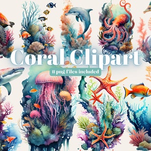 Fish clipart, watercolor fish under the sea clip art, Dolphin clipart, Sea animal pngs clipart, Sea animal birthday party, Dolphin clipart