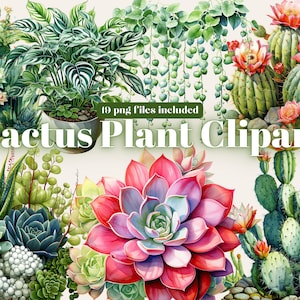 Aquarelle Cactus Clipart, succulentes Clip Art PNG, aquarelle Cactus PNG, téléchargement immédiat, licence commerciale, Pot plante Png, Cactus Png