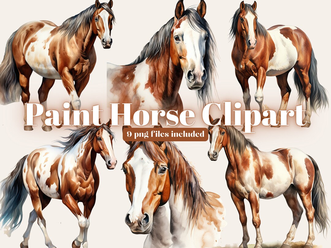 American Paint Horse PNG Clipart, Brown Horse, Watercolor Horse PNG