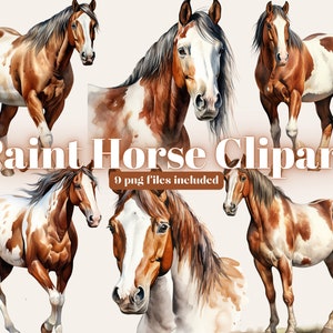 American Paint Horse PNG clipart, Brown Horse, Watercolor Horse PNG, Animal Clipart, Horse Clipart, Horse Sublimation, Transparent png