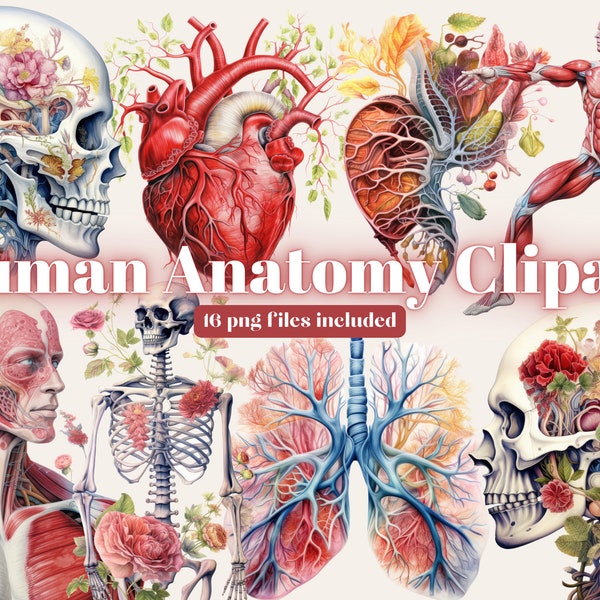 Aquarel menselijke anatomie Ephemera clipart bundel, digitale download, digitale planner, instant download, aquarel clipart, commercieel gebruik