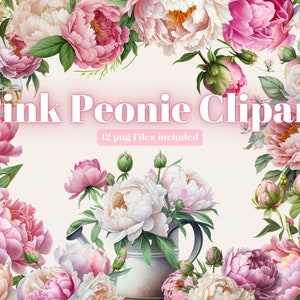 Rosa & weiße Pfingstrosen Clipart, PNG, voll kommerzielle Nutzung, Aquarell Blumen Clipart mit Sofort Download